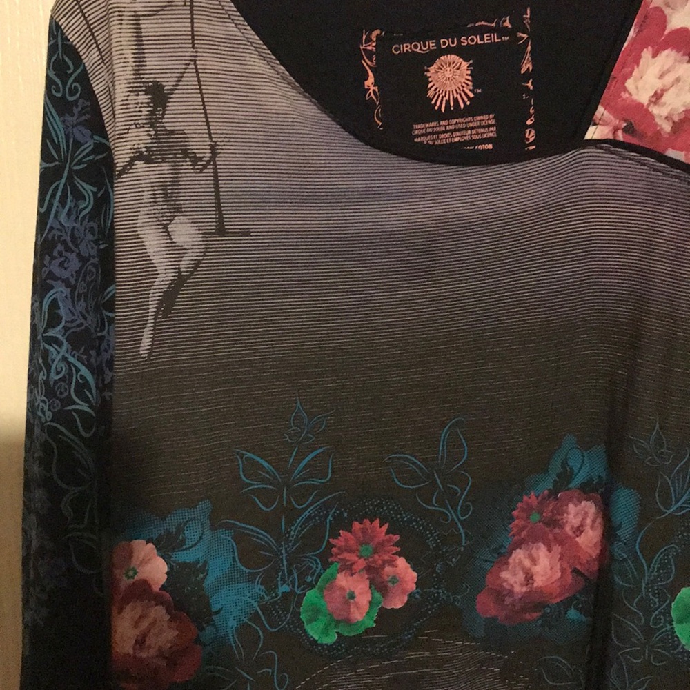 Cirque du soleil dress